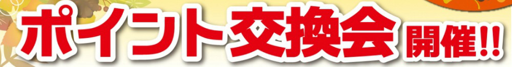 市川ポイント交換会inいちかわ市民まつり