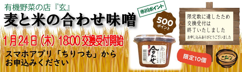 有機野菜の店「玄」_麦と米の合わせ味噌 有機野菜の店「玄」_麦と米の合わせ味噌