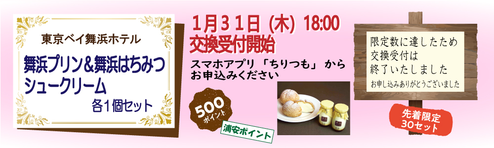 舞浜プリン&舞浜はちみつシュークリーム